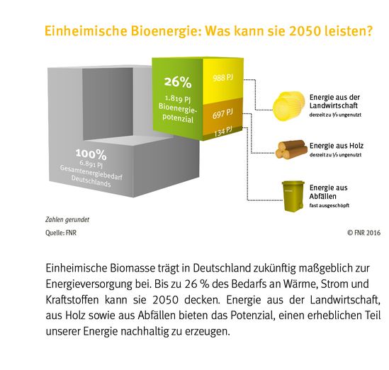 Einheimische Bioenergie 2050 / Eine Prognose von Fachagentur Nachwachsende Rohstoffe e. V. (FNR) - GF-Bio-Energie Hasetal GmbH