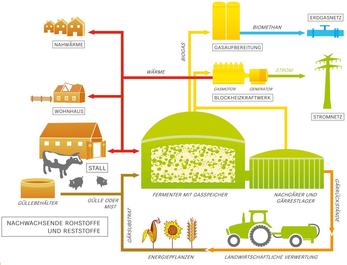 Wie funktioniert eine Biogasanlage? Die GF-Bio-Energie Hasetal GmbH in Löningen erklärt es.